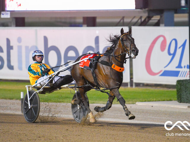 Menangle winner from bargain broodmare 