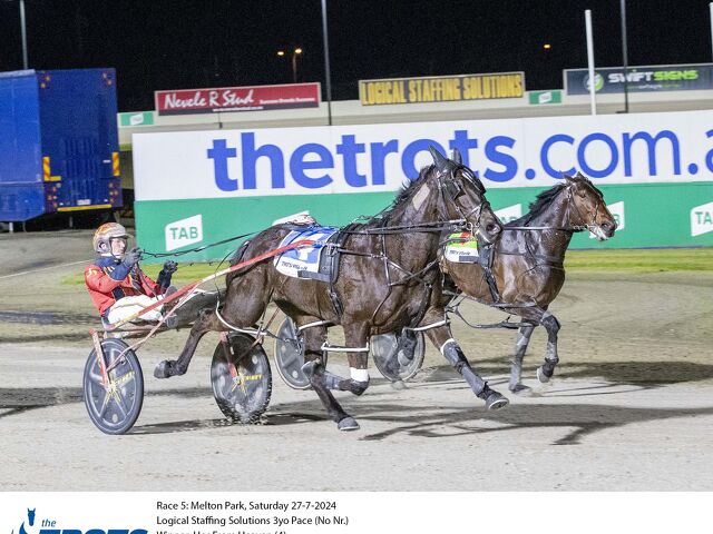 He’s From Heaven the best ever bred by South Island pair