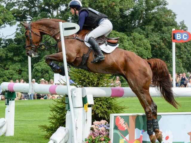 Robin Swain’s sentimental breeding win up north