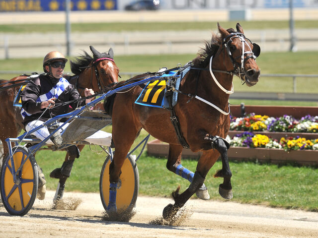 Cup Week double for 'Humble' mates