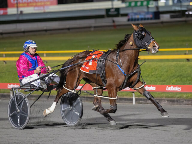 APG Brisbane Sales race winner has stout NZ breeding background 