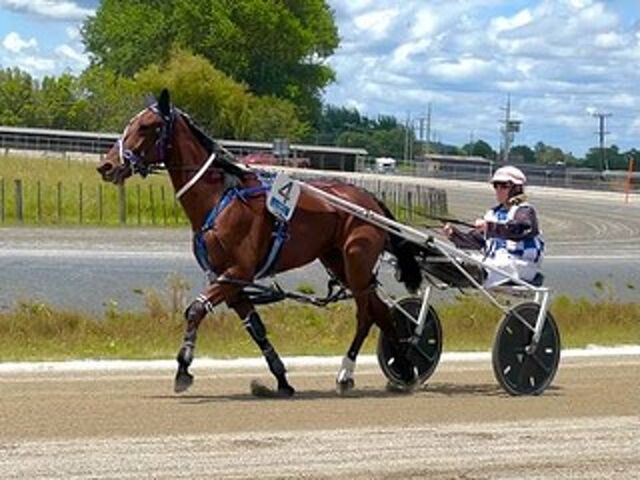 IT Business Analyst, Gwen Johnson, breeds her first winner with her first starter
