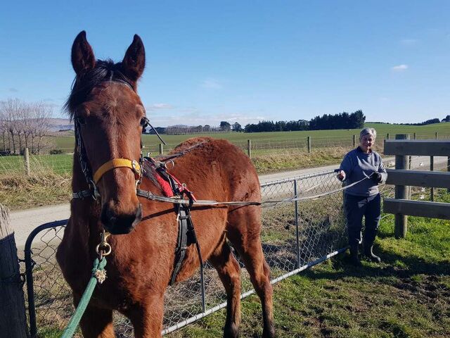 Borrowed mare leads to top Victorian youngster