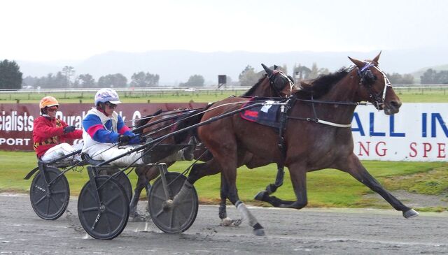 Breeding Snippets | Great Families Continue to Shape the Future