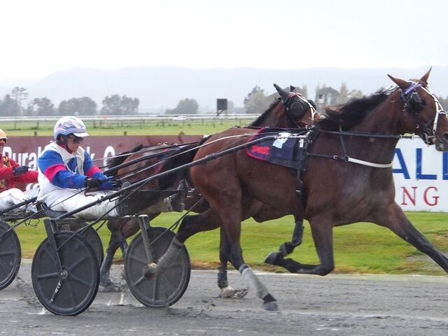 Breeding Snippets | Great Families Continue to Shape the Future
