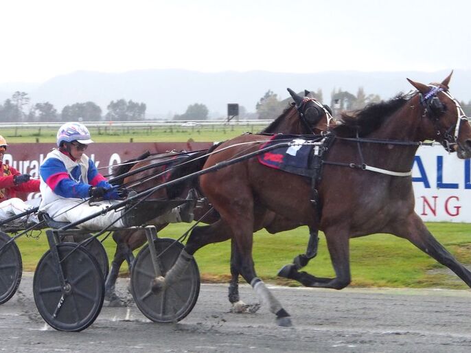 Breeding Snippets | Great Families Continue to Shape the Future