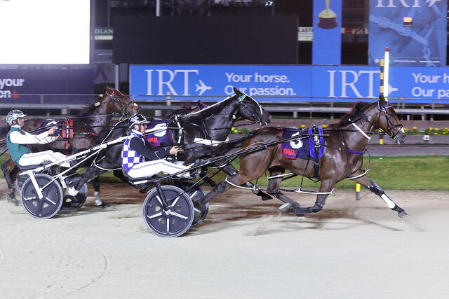 Breeding Snippets | Enduring Families and Emerging Talent