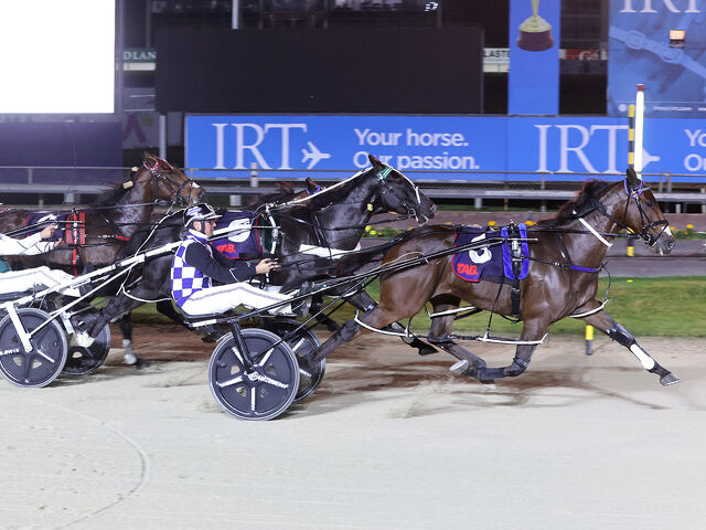 Breeding Snippets | Enduring Families and Emerging Talent