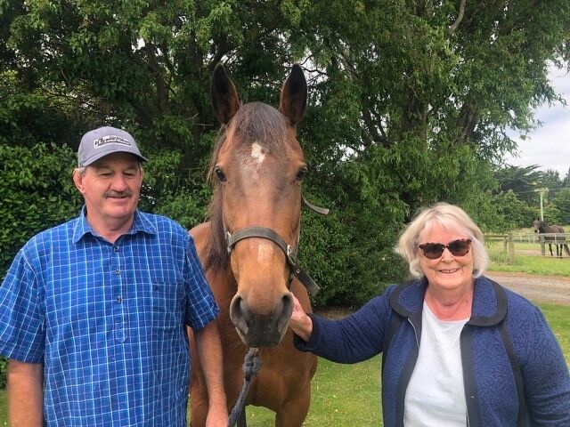 ‘Jack and Liz’ making a mark with both ‘Westar’ pacing and trotting mares