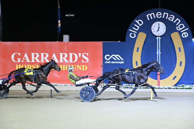 Westport couple experiencing Ultimate success