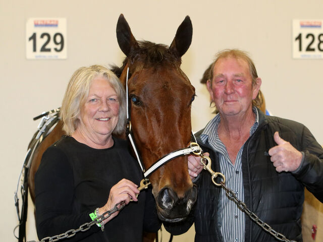 First pacing foray leads to Menangle star