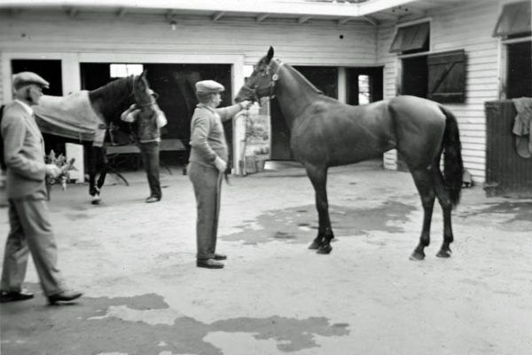 Historic black and white photo of men inspecting a horse in a stable courtyard setting