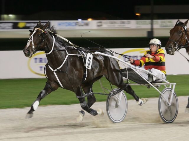 Saying Goodbye: Bowen Reflects on the Mare That Meant Everything