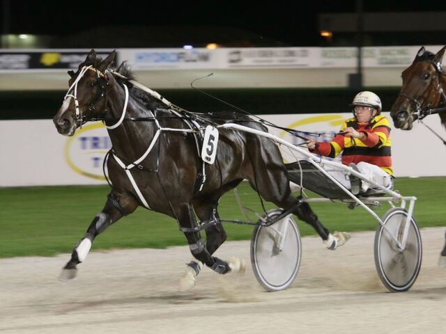 Saying Goodbye: Bowen Reflects on the Mare That Meant Everything