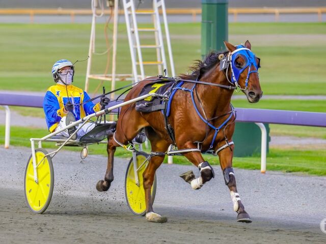 WA Group winner from top fillies’ family 