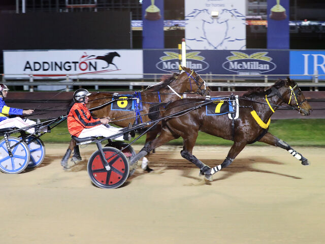 Kahress – a broodmare before her time?