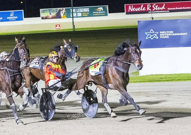 A Star trotter for Reg Caldow