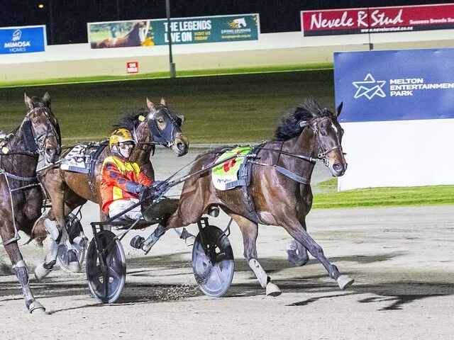 A Star trotter for Reg Caldow