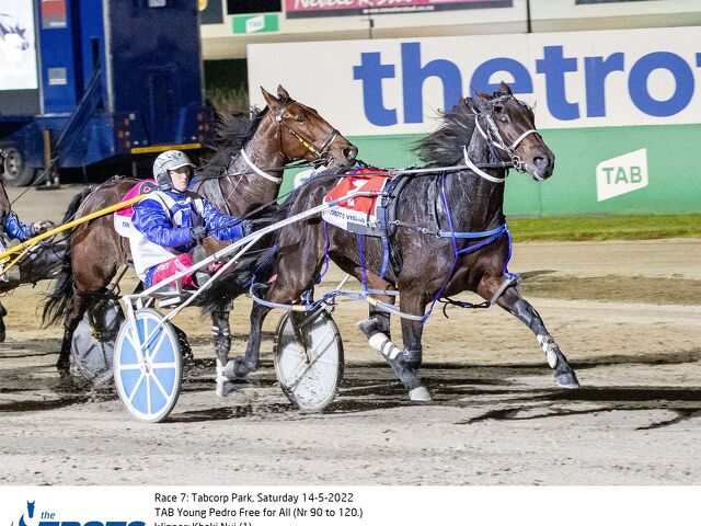 Bargain mare leads to Melton Free-for-all winner