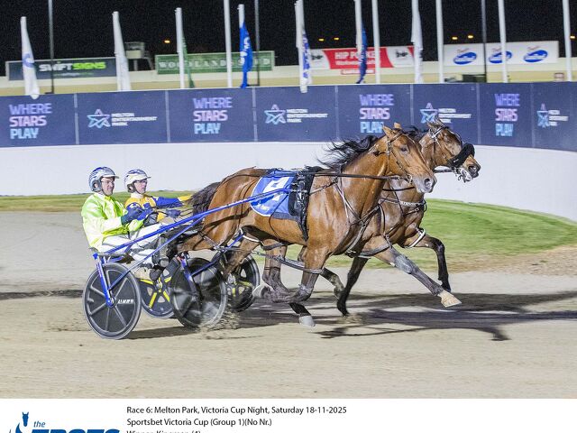 Cup win the icing on the cake of busy week for Sydney breeder