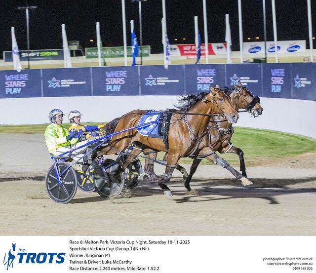 Cup win the icing on the cake of busy week for Sydney breeder