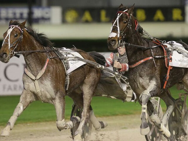 The King lands his first stakes victory