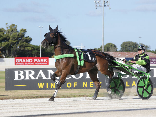 Lifelong love of Breeding, continues to deliver for Carson