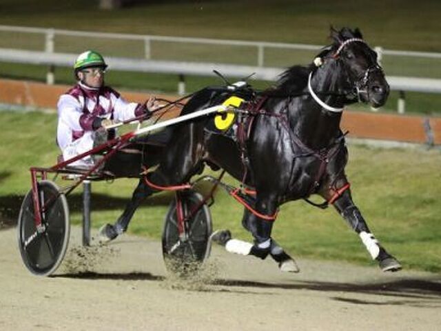Sires Stakes Board confirms balance of 2021 year