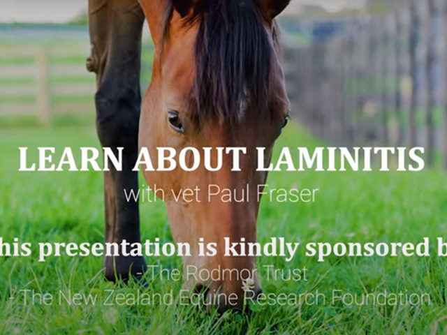 Learn about Laminitis
