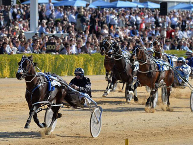Lazarus coming home to New Zealand