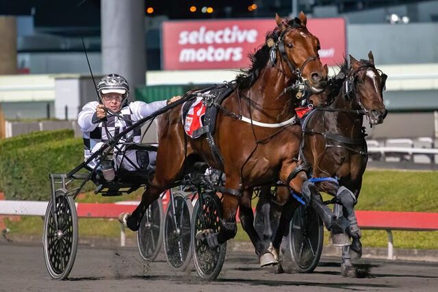 NZ Cup breeding nuggets you can bank on this Cup Week