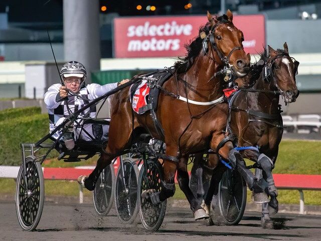 NZ Cup breeding nuggets you can bank on this Cup Week