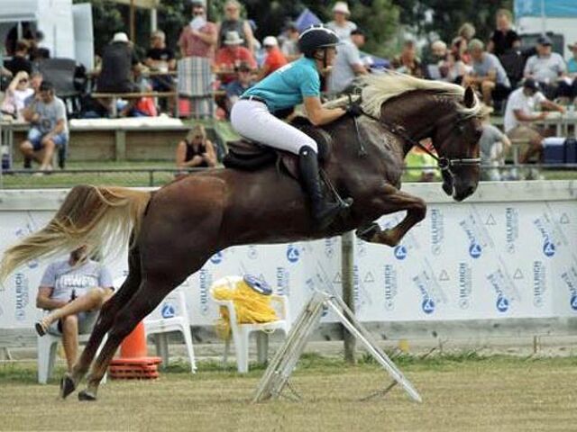 Big future predicted for Battle of the Breeds