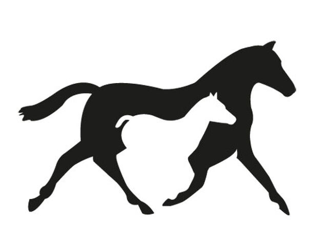 Breeding 'mishap' nets over $100,000