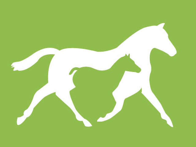 Leading North American Standardbred Sires 2022