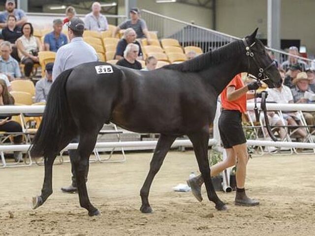 Prices smash records amid dream day