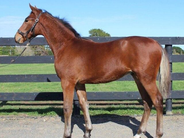 Astonishing Results Conclude Online All Age Sale