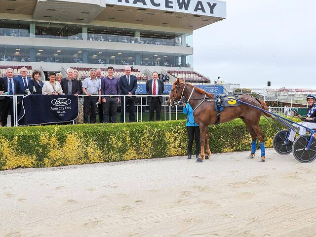Couple have their best horse yet