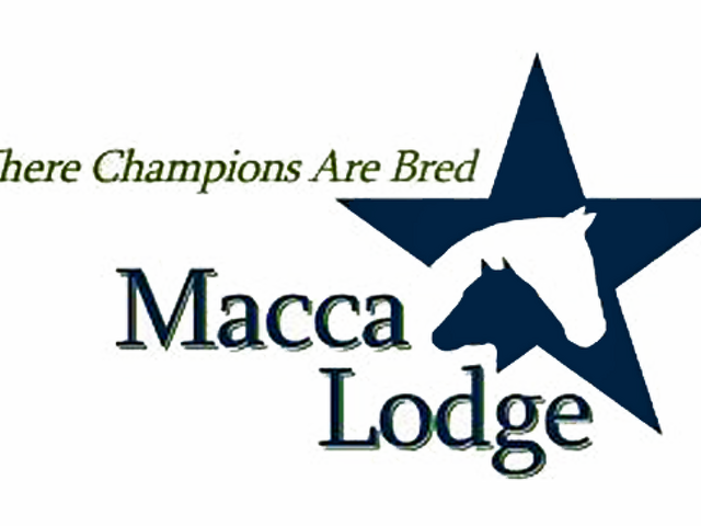 Macca Lodge supports Wyndham's NZ Kindergarten Stakes