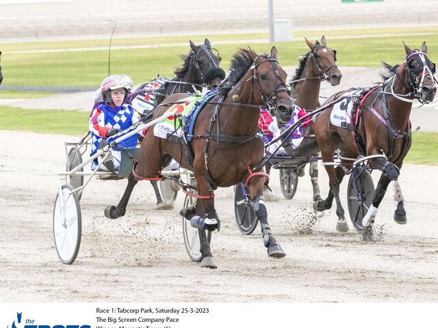 Bargain broodmare brings rewards for Beckley