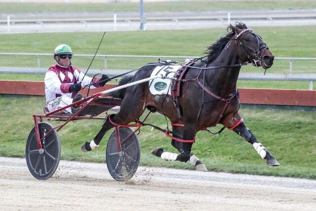 Stallion rosters firming up for breeding season ahead
