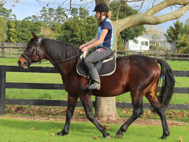 How Majestic Son spends his off season