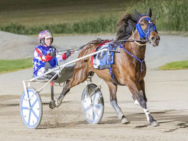 Majestuoso adds to burgeoning record