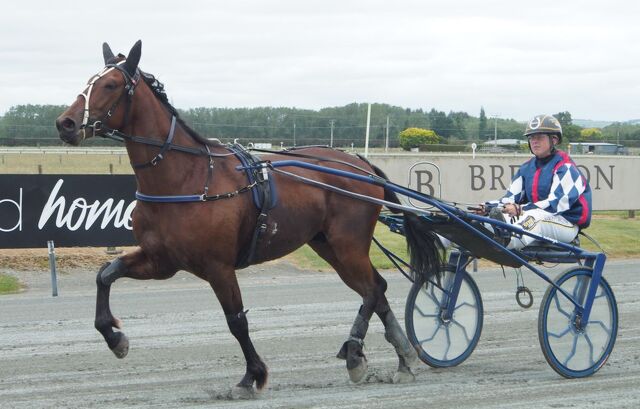 Makaku keeps the Fleming family trotting tradition alive