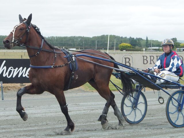 Makaku keeps the Fleming family trotting tradition alive