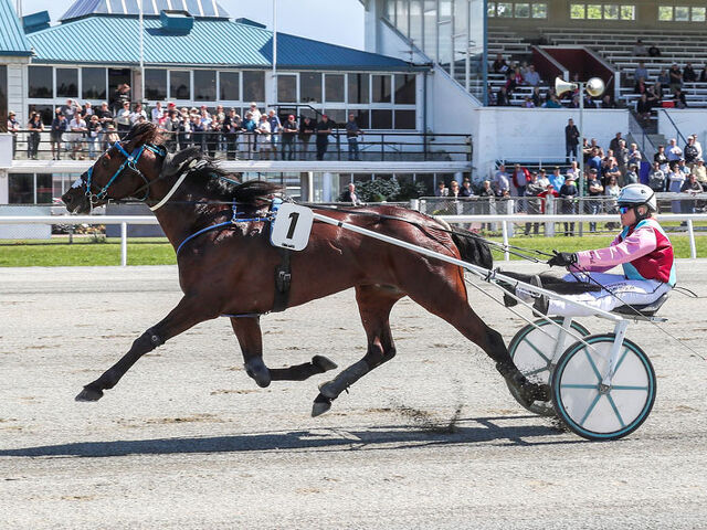 Blue-blooded Trotting Speedster to Nevele R