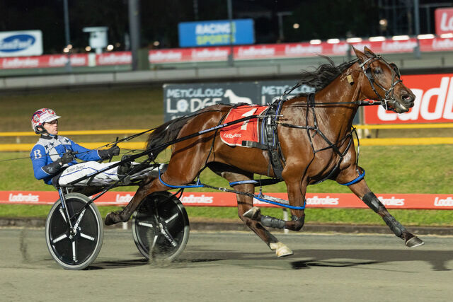 Southland Breeders Enjoy Aussie Success