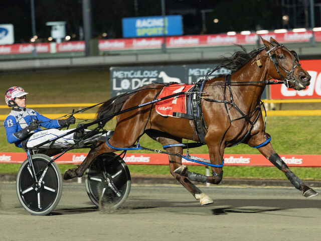Southland Breeders Enjoy Aussie Success