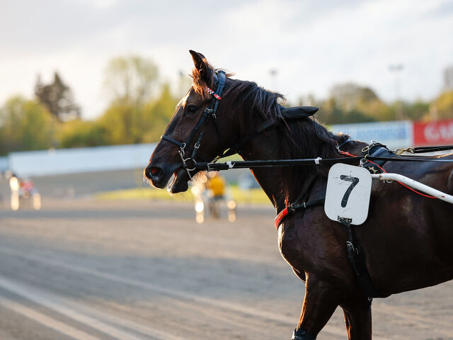 Comeback Queen Melsadele Delivers Emotional Win