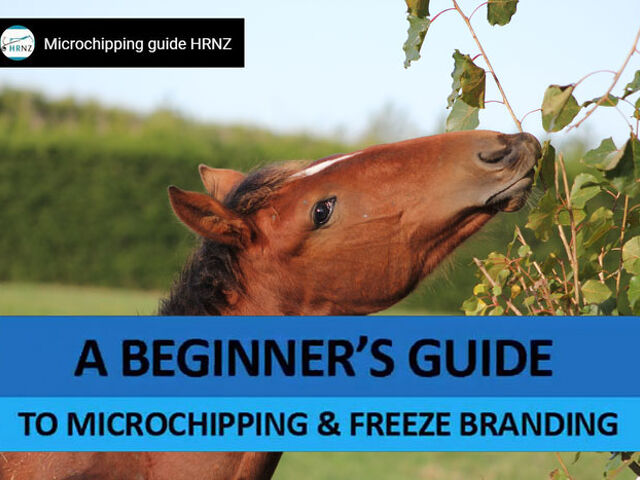 Microchipping - it’s the way of the future